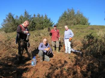 tree planting on Cape Clear Island